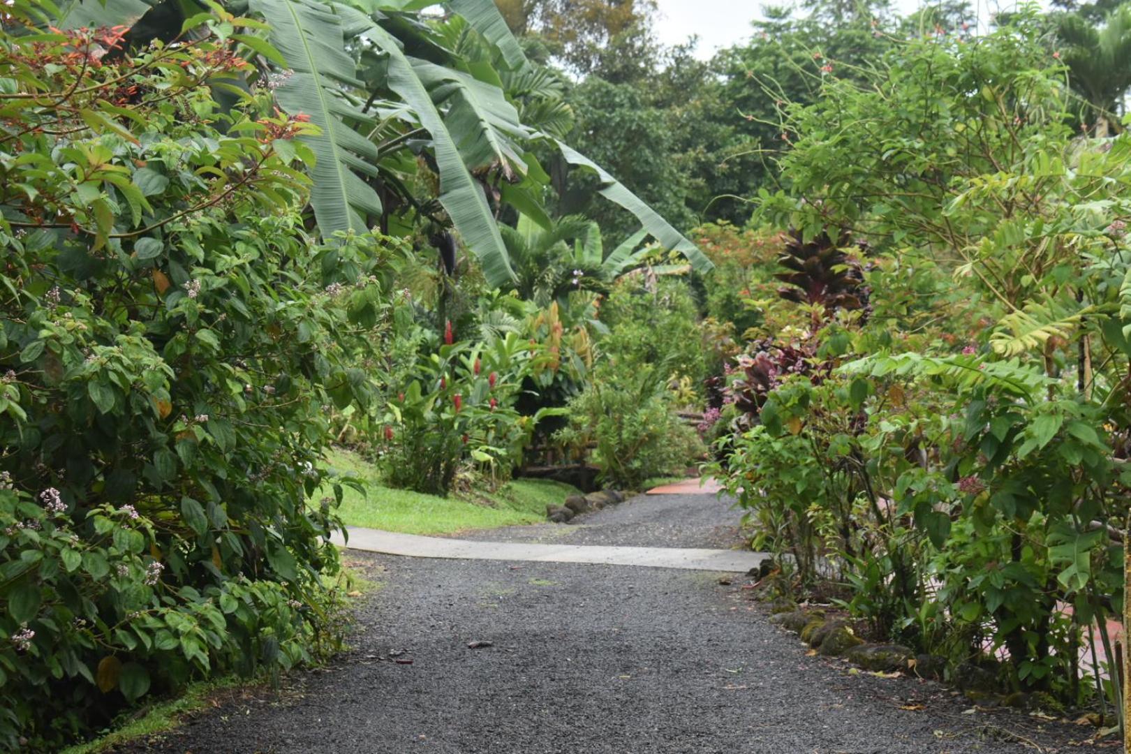 Hotel Roca Negra Del Arenal La Fortuna Exterior photo