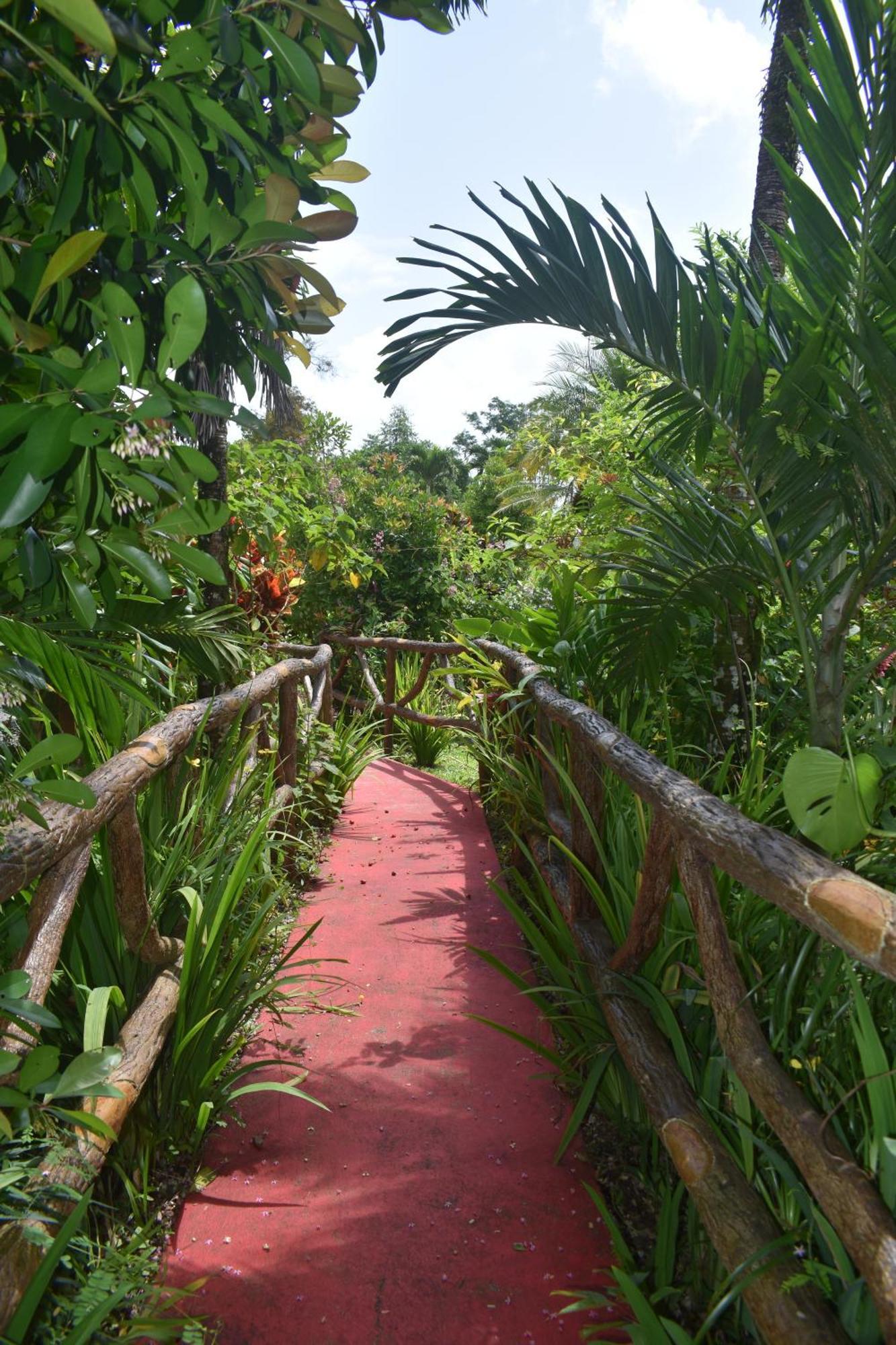 Hotel Roca Negra Del Arenal La Fortuna Exterior photo