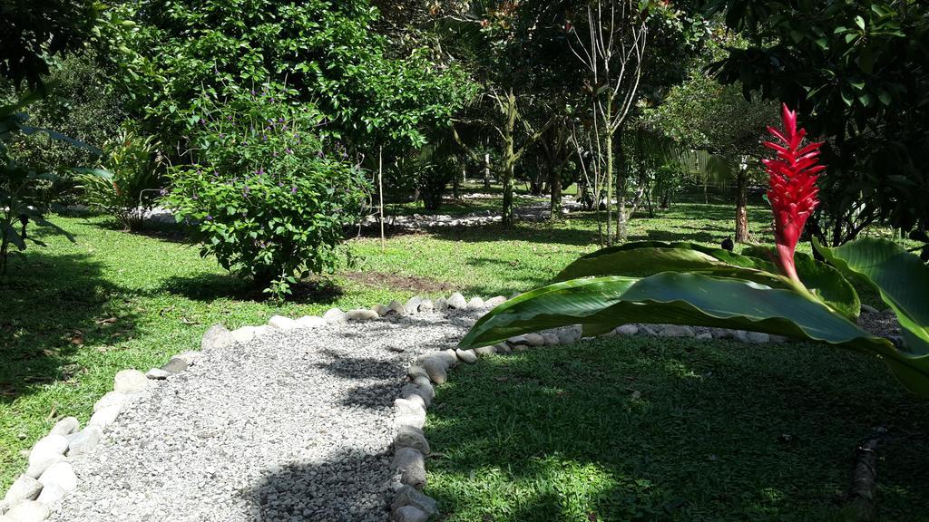 Hotel Roca Negra Del Arenal La Fortuna Exterior photo
