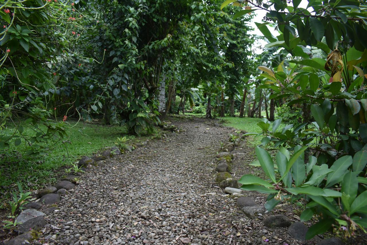 Hotel Roca Negra Del Arenal La Fortuna Exterior photo